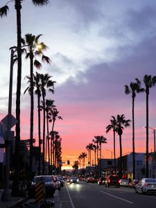 KinseyInvestigations.com West Hollywood Detective - Rows of tall palm trees line a street at sunset.